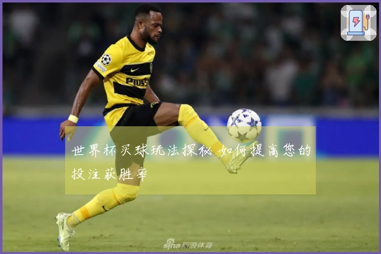 世界杯买球玩法探秘 如何提高您的投注获胜率