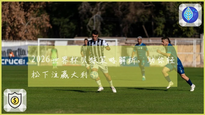 2026世界杯买球策略解析，助你轻松下注赢大利