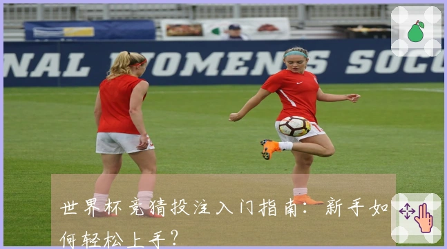 世界杯竞猜投注入门指南:新手如何轻松上手?
